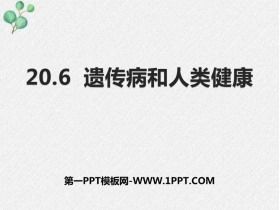 《遺傳病和人類健康》PPT免費課件