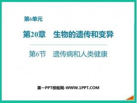 《遺傳病和人類健康》PPT課件下載
