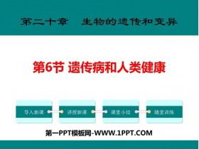 《遺傳病和人類健康》PPT下載