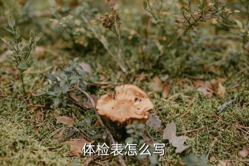 体检表怎么写