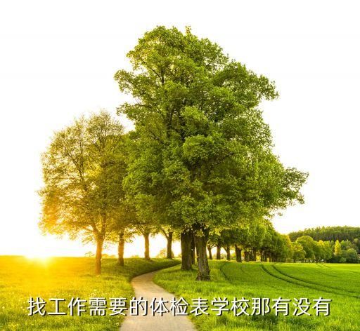 找工作需要的体检表学校那有没有