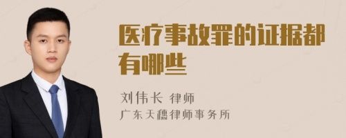 医疗事故罪的证据都有哪些