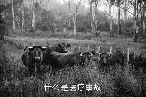 什么是医疗事故