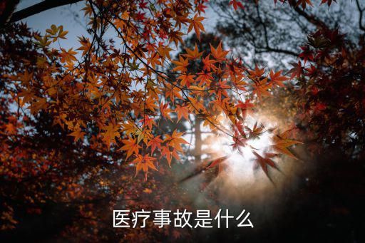 医疗事故是什么