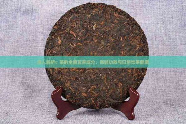 深入解析：茶的全面营养成分、保健功效与日常饮茶健康