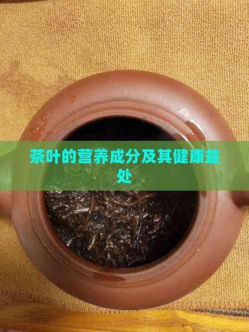 茶叶的营养成分及其健康益处