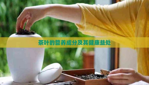茶叶的营养成分及其健康益处