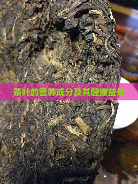 茶叶的营养成分及其健康益处