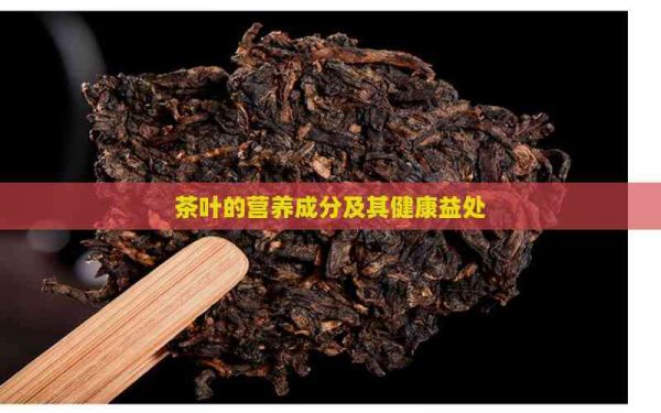 茶叶的营养成分及其健康益处