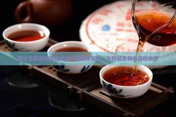 茶叶主要含有哪些成分？揭秘茶多酚、生物碱及其他活性物质