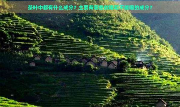 茶叶中都有什么成分?主要有哪些能喝和不能喝的成分?
