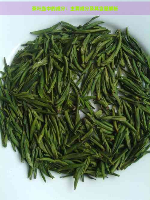 茶叶当中的成分:主要成分及其含量解析