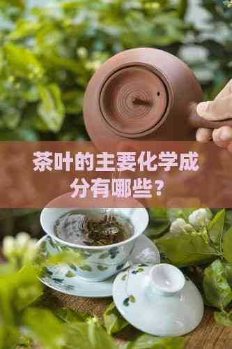 茶叶的主要化学成分有哪些？