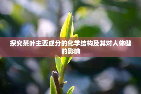探究茶叶主要成分的化学结构及其对人体健的影响