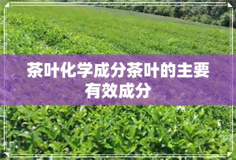 茶叶化学成分茶叶的主要有效成分