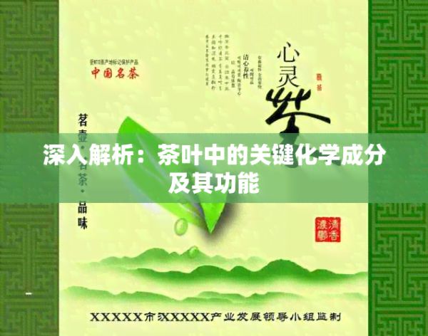 深入解析：茶叶中的关键化学成分及其功能