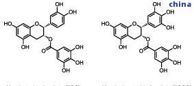 茶叶中的化学物质有什么，探索茶叶的奥秘：了解茶叶中的化学成分