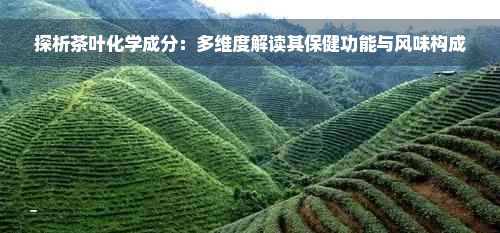 探析茶叶化学成分：多维度解读其保健功能与风味构成