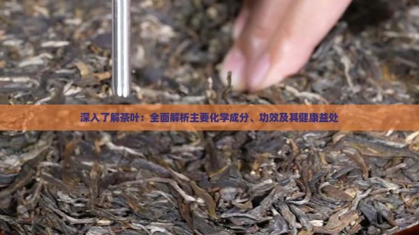 深入了解茶叶：全面解析主要化学成分、功效及其健康益处