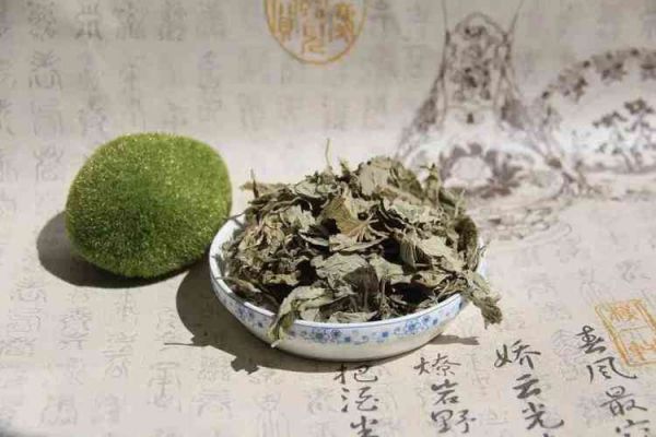 肚子上熏艾草減肥：真的有效嗎？(3)