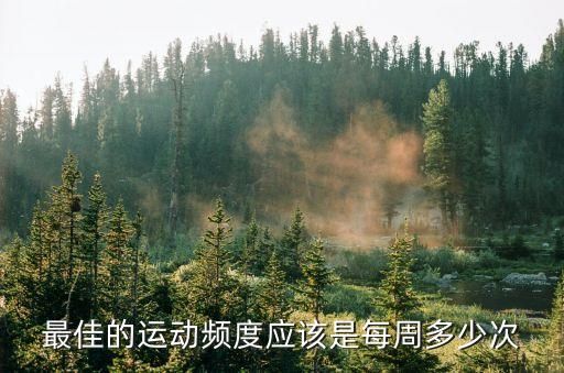 最佳的运动频度应该是每周多少次