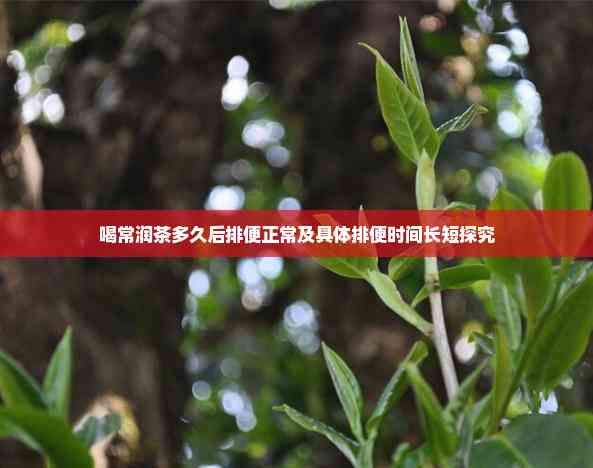 喝常潤茶多久后排便正常及具體排便時(shí)間長短探究