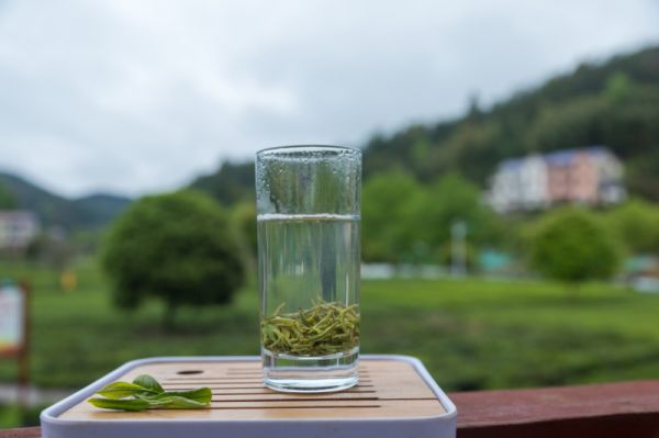 常潤茶喝完多久有反應(yīng)- 到底需要多久才能感受到效果？
