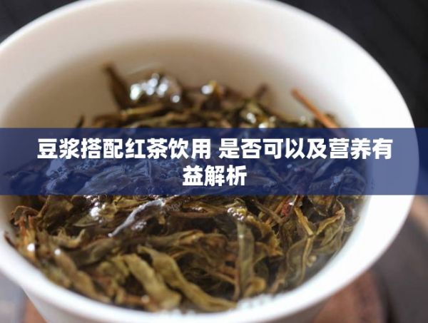 豆?jié){搭配紅茶飲用 是否可以及營養(yǎng)有益解析