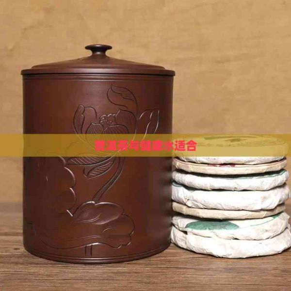 普洱茶與健康水適合