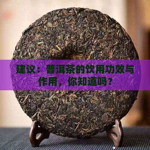 建議：普洱茶的飲用功效與作用，你知道嗎？