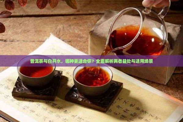 普洱茶與白開水，哪種更適合你？全面解析兩者益處與適用場景
