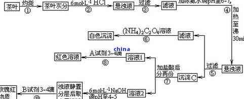 茶葉中含有哪些元素成分，探究茶葉中的元素成分：一次全面的化學(xué)分析