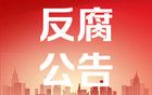 十三届全国人大华侨委员会副主任委员罗保铭被公诉