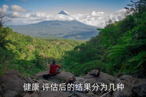  健康 评估后的结果分为几种