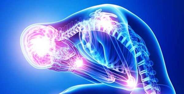 Effects of stress on the body