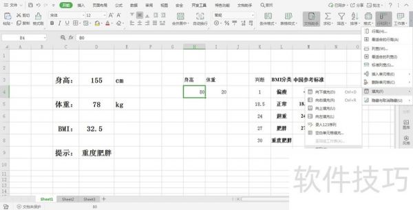 在Excel中的体重指数如何设置身高体重选择列表