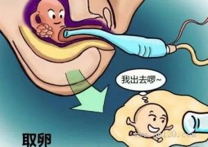 2025身高体重标准表男性版，快看看你家孩子达标没
