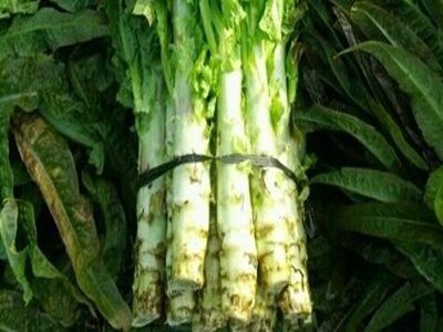 老人夏季生食蔬菜营养更高