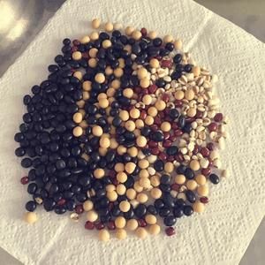 健康养生补肾【黑豆浆】豆浆机简易版的做法 步骤2