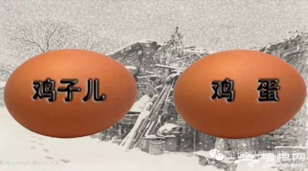 您知道老北京话里“鸡子儿”与“鸡蛋”的区别吗？