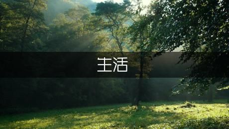 生活饮食计划