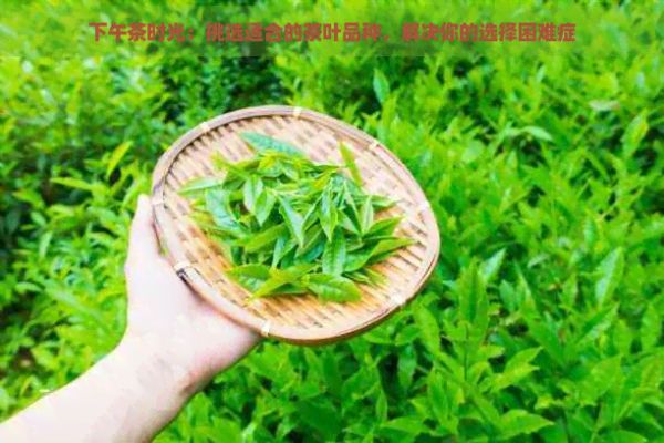 下午茶时光：挑选适合的茶叶品种，解决你的选择困难症