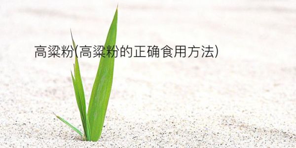 高粱粉(高粱粉的正确食用方法)