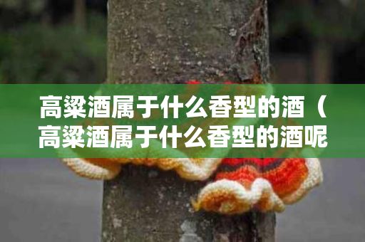 高粱酒属于什么香型的酒（高粱酒属于什么香型的酒呢）
