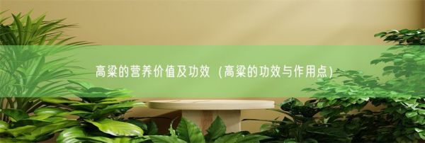 高粱的营养价值及功效（高粱的功效与作用点）(图1)