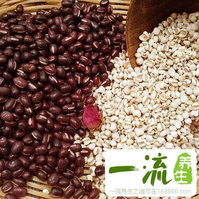 薏米红豆粥的做法 薏米红豆粥的好处及功效