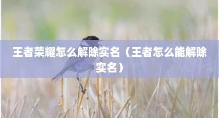 王者荣耀怎么解除实名（王者怎么能解除实名）