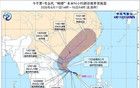 即将反转！中雨、大雨、暴雨！台风“蝴蝶”来了