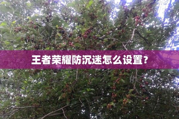 王者荣耀防沉迷怎么设置？
