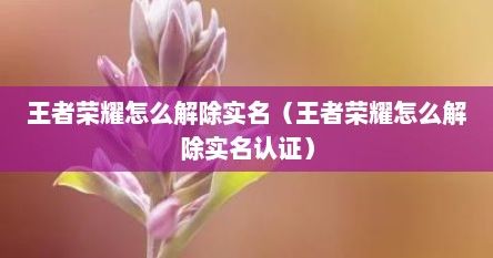 王者荣耀怎么解除实名（王者荣耀怎么解除实名认证）